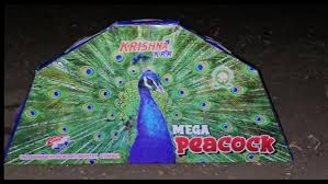 Bada Peacock (5 Shower)